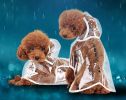 [M] Stylish Dog Raincoat Pet Raincoat Dog Hooded Raincoat Rain Gear