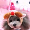 Christmas Party Hat Pet Costume Accessory, Small