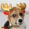 Merry Christmas Party Hat Pet Costume Accessory, L