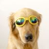 New Fashionable Pet Dog Goggles UV Sunglasses Perfect Sun Glasses Eye Wear