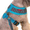 Vest Leashes - Dog Harness Leash--??L Size: Bust 46cm??Blue Bars 1