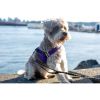 Fenrir purple leopard harness