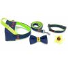 Navy denim & Neon dog leash with red studs