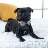 Houndstooth mustard with real leather accent collar & bow tie
