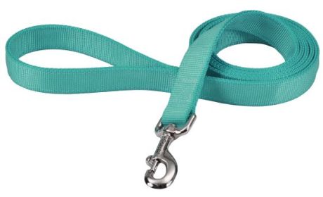 Coastal Pet Double-ply Nylon Dog Lead Teal (size: 48"L x 1"W)