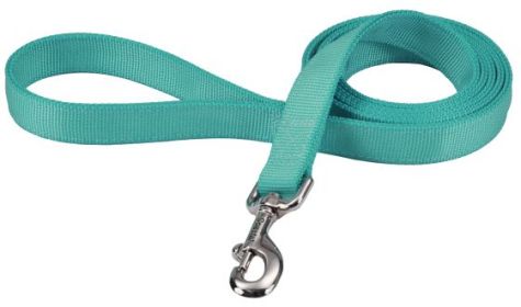 Coastal Pet Double-ply Nylon Dog Lead Teal (size: 72"L x 1"W)