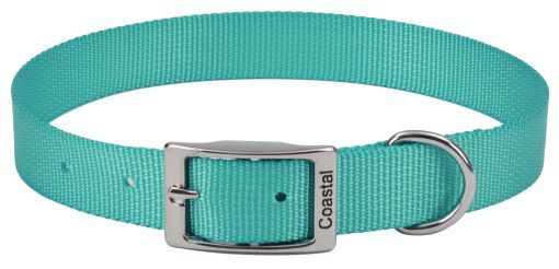 Coastal Pet Single-ply Teal Nylon Dog Collar (size: 10"L x 3/8"W)