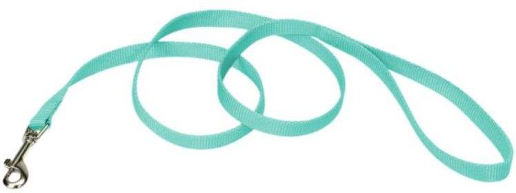 Coastal Pet Single-ply Teal Nylon Dog Lead (size: 4'L x 5/8"W)