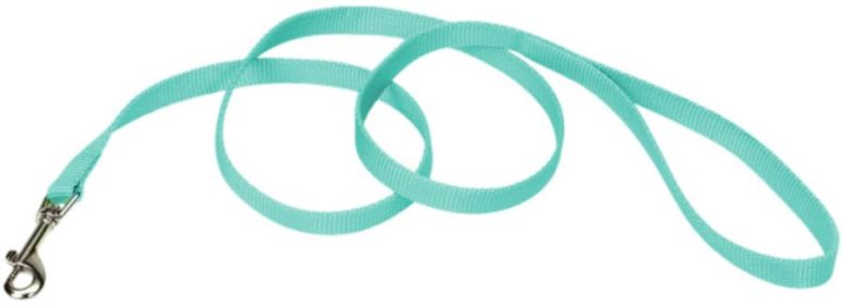 Coastal Pet Single-ply Teal Nylon Dog Lead (size: 6'L x 5/8"W)