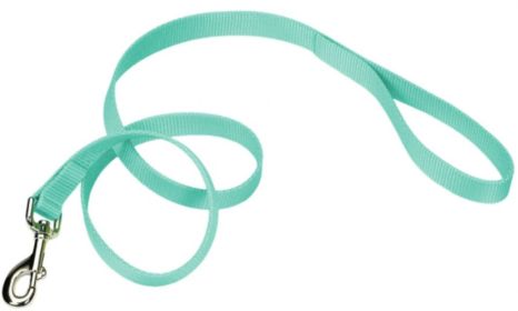 Coastal Pet Single-ply Teal Nylon Dog Lead (size: 4'L x 1"W)