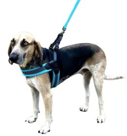 Sporn Easy Fit Dog Harness Blue (size: Small 1 count)