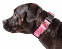 Pet Life  'Aero Mesh' 360 Degree Dual Sided Comfortable And Breathable Adjustable Mesh Dog Collar