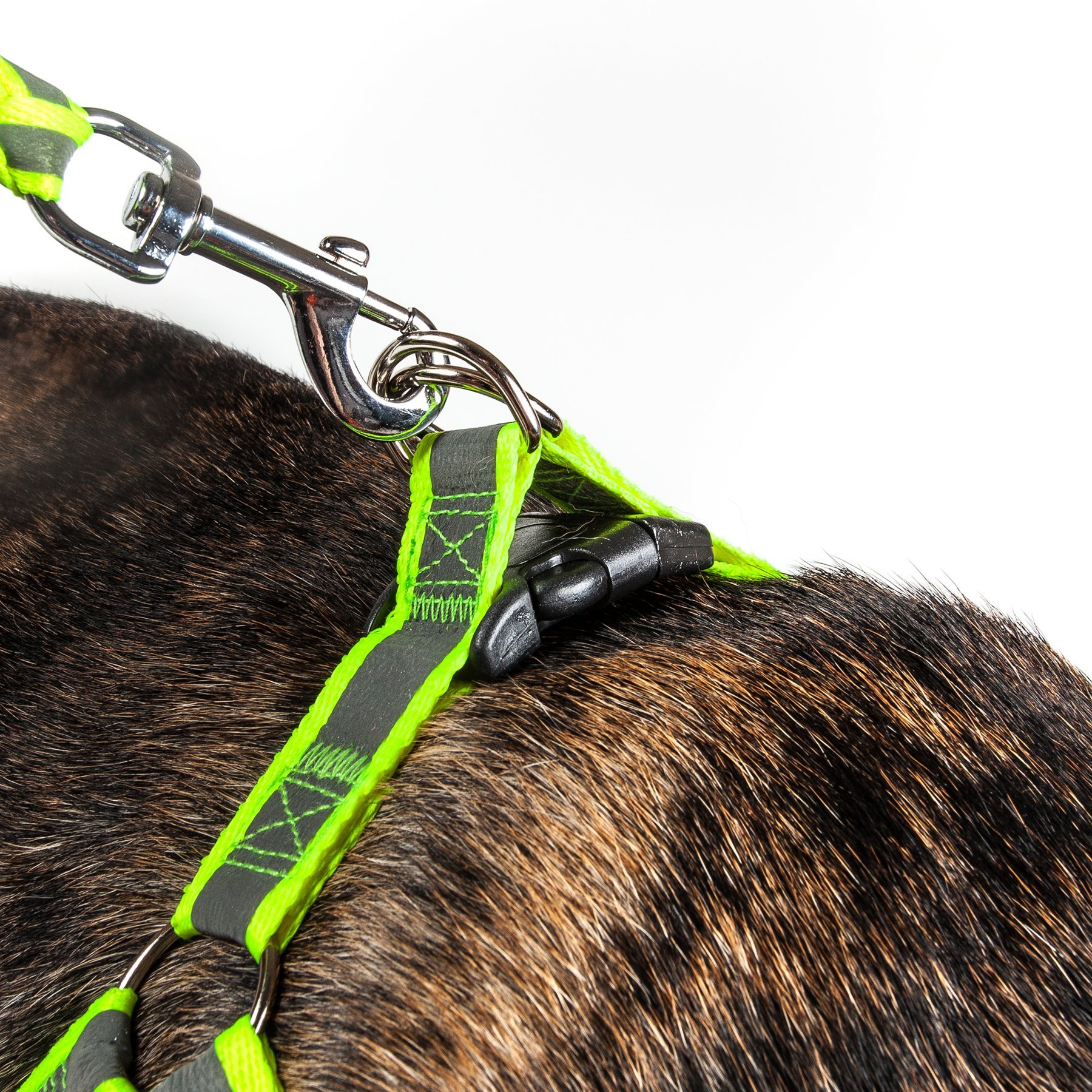 thumbnail image 2 of Pet Life Reflective 2-in-1 Adjustable Dog Leash And Harness Set Stitched Nylon 2 of 6